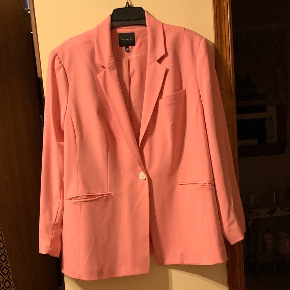 The Limited Pink Blazer